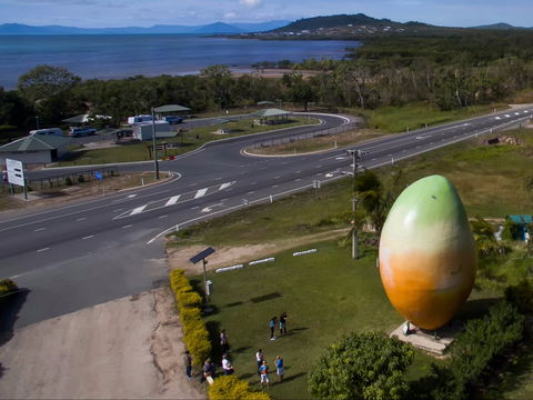 Big Mango - Tourism Adelaide 1