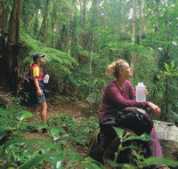 Binna Burra Lamington National Park - Tourism Adelaide