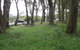 Bowral Lookout - thumb 0