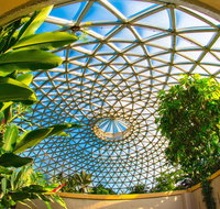 Brisbane Botanic Gardens Mount Coot-tha - Tourism Adelaide