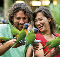 Currumbin Wildlife Sanctuary - Tourism Adelaide