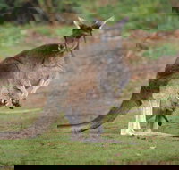 Donnelly River - Tourism Adelaide