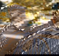 Evandale - Tourism Adelaide