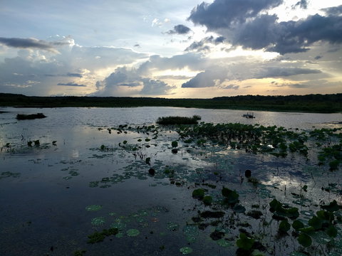 Fogg Dam Conservation Reserve - Tourism Adelaide 1