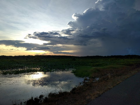 Fogg Dam Conservation Reserve - Tourism Adelaide 2
