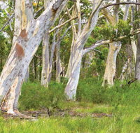 Freshwater track - Tourism Adelaide