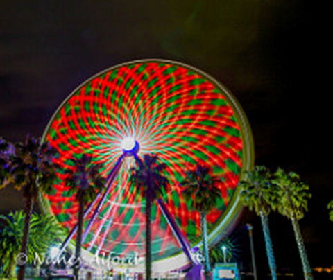 Giant Ferris Wheel - Hello Hi Lite Amusements - Tourism Adelaide 1