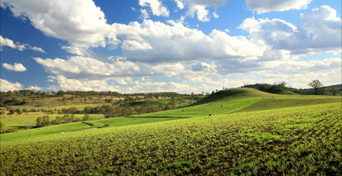 Hodgson Vale - Tourism Adelaide 0