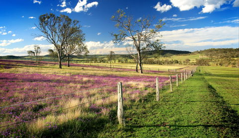 Hodgson Vale - Tourism Adelaide 1