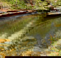 Hominy Creek Walking Track - Tourism Adelaide