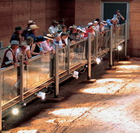 Lark Quarry Conservation Park - Tourism Adelaide