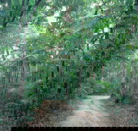 Lawn Hill - Tourism Adelaide