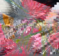 Mokoan Rest Stop Northbound - Tourism Adelaide