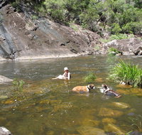 Mount Boss State Forest - Tourism Adelaide