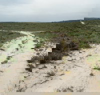 Ngarkat Conservation Park - Tourism Adelaide