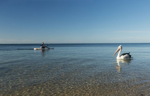 North Beach - Tourism Adelaide 1