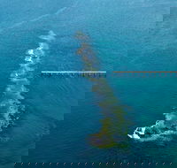 Port Noarlunga Reef Sanctuary Zone - Encounter Marine Park - Tourism Adelaide