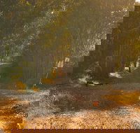 Raysource Road - Tourism Adelaide