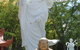 Sakyamuni Buddhist Centre/Van Hanh Monastery - thumb 2