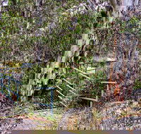 Sawpit Walking Track - Tourism Adelaide