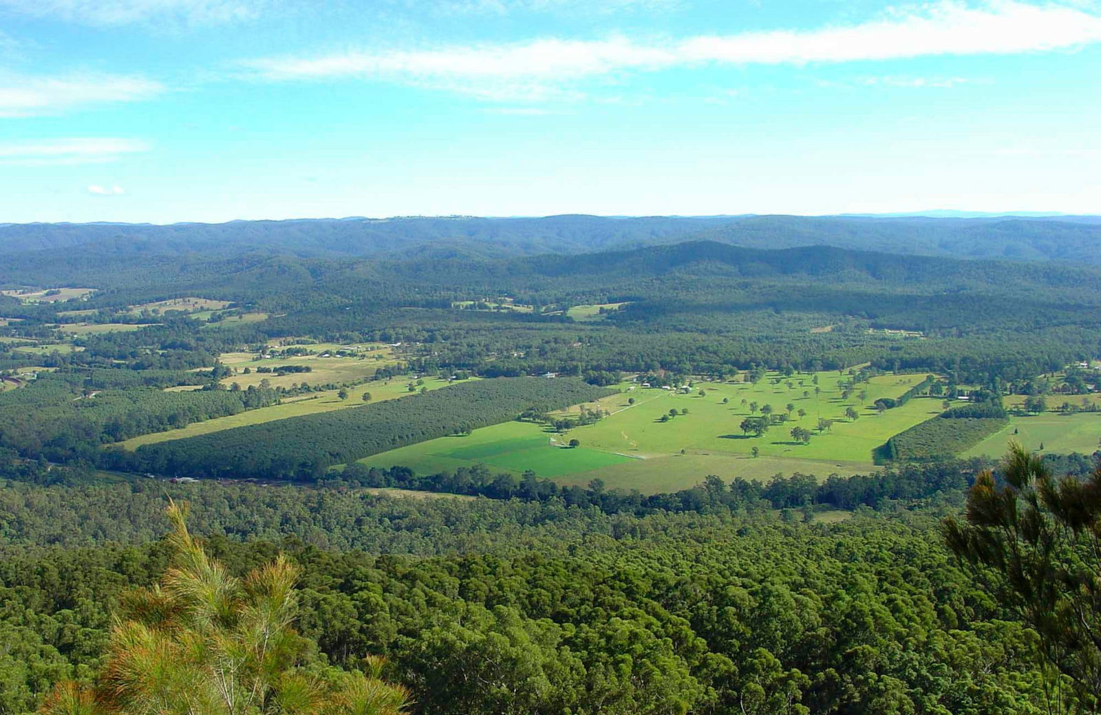 Bucca NSW Tourism Adelaide