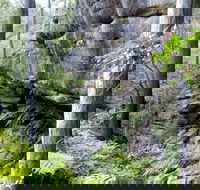 She-Oak Crossing Walk