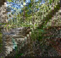 Thylogale Track - Tourism Adelaide