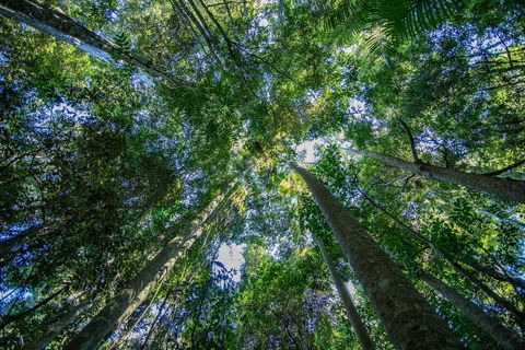 Thylogale Track - Tourism Adelaide 1