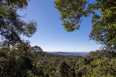 Thylogale Track - Tourism Adelaide 2