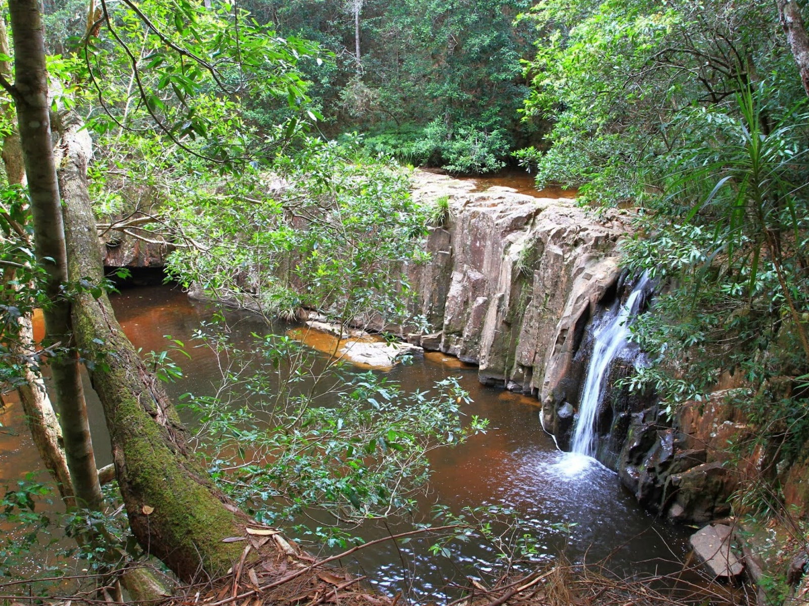 Waitui NSW Tourism Adelaide