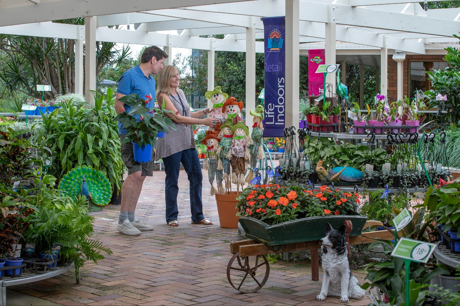 Adare QLD Tourism Adelaide