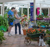 Adare - Tourism Adelaide