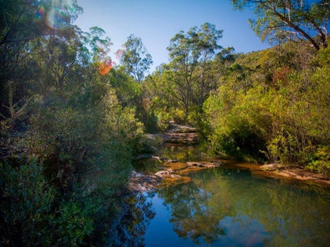 Bargo State Conservation Area - Tourism Adelaide 0