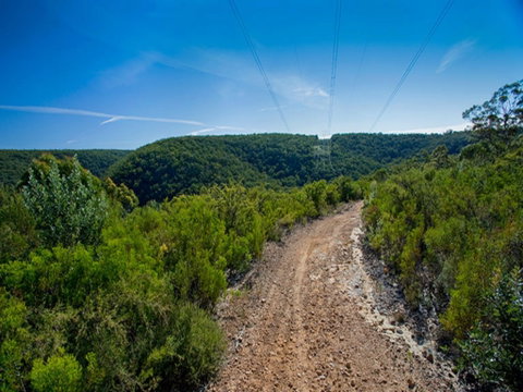 Bargo State Conservation Area - Tourism Adelaide 1
