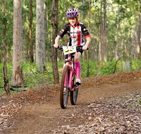 Bom Bom State Forest Mountain Bike Trails - Tourism Adelaide