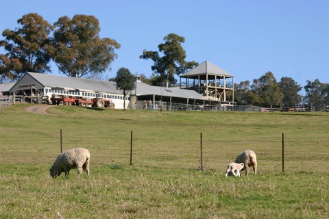 Calmsley Hill City Farm - Tourism Adelaide 0