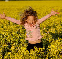 Canola Trail - Tourism Adelaide