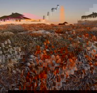 Cape Willoughby Heritage Trail - Tourism Adelaide