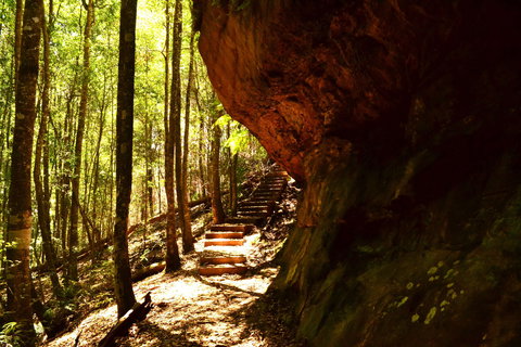 Cave Creek Walking Track - Tourism Adelaide 1