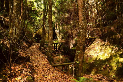 Cave Creek Walking Track - Tourism Adelaide 2
