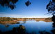 Cecil Hoskins Nature Reserve - thumb 0