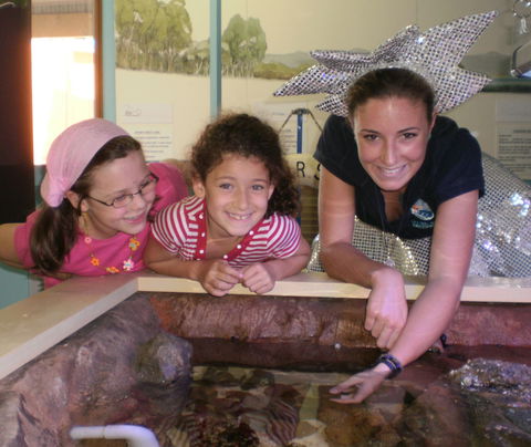 Central Coast Marine Discovery Centre - Tourism Adelaide 0
