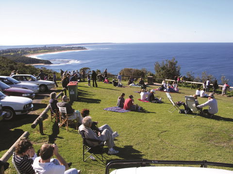 Crackneck Point Lookout - Tourism Adelaide 0