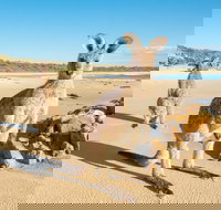 Diamond Head Beach - Tourism Adelaide