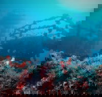 ex HMAS Adelaide - Tourism Adelaide