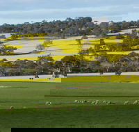Fini Olives - Tourism Adelaide