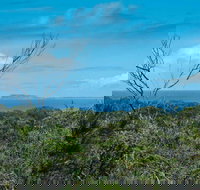 Forest Walking Track Crowdy Bay National Park - Tourism Adelaide