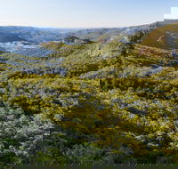 Gold Coast Hinterland Great Walk - Tourism Adelaide