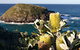 Green Island Walking Track - thumb 0