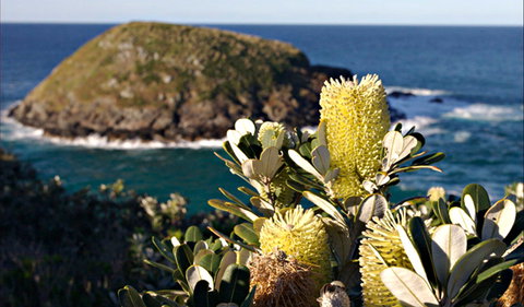 Green Island Walking Track - Tourism Adelaide 0